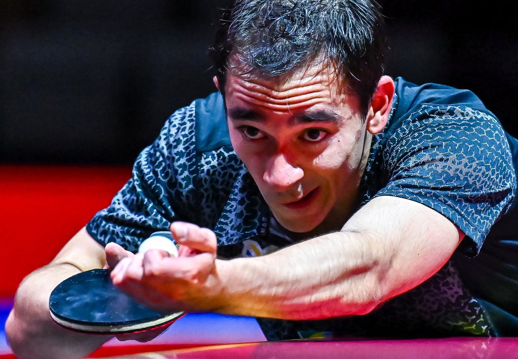 正如众多冠 正如众多冠