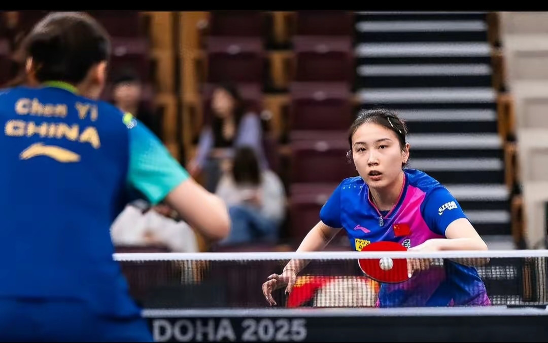 全面发展的 全面发展的