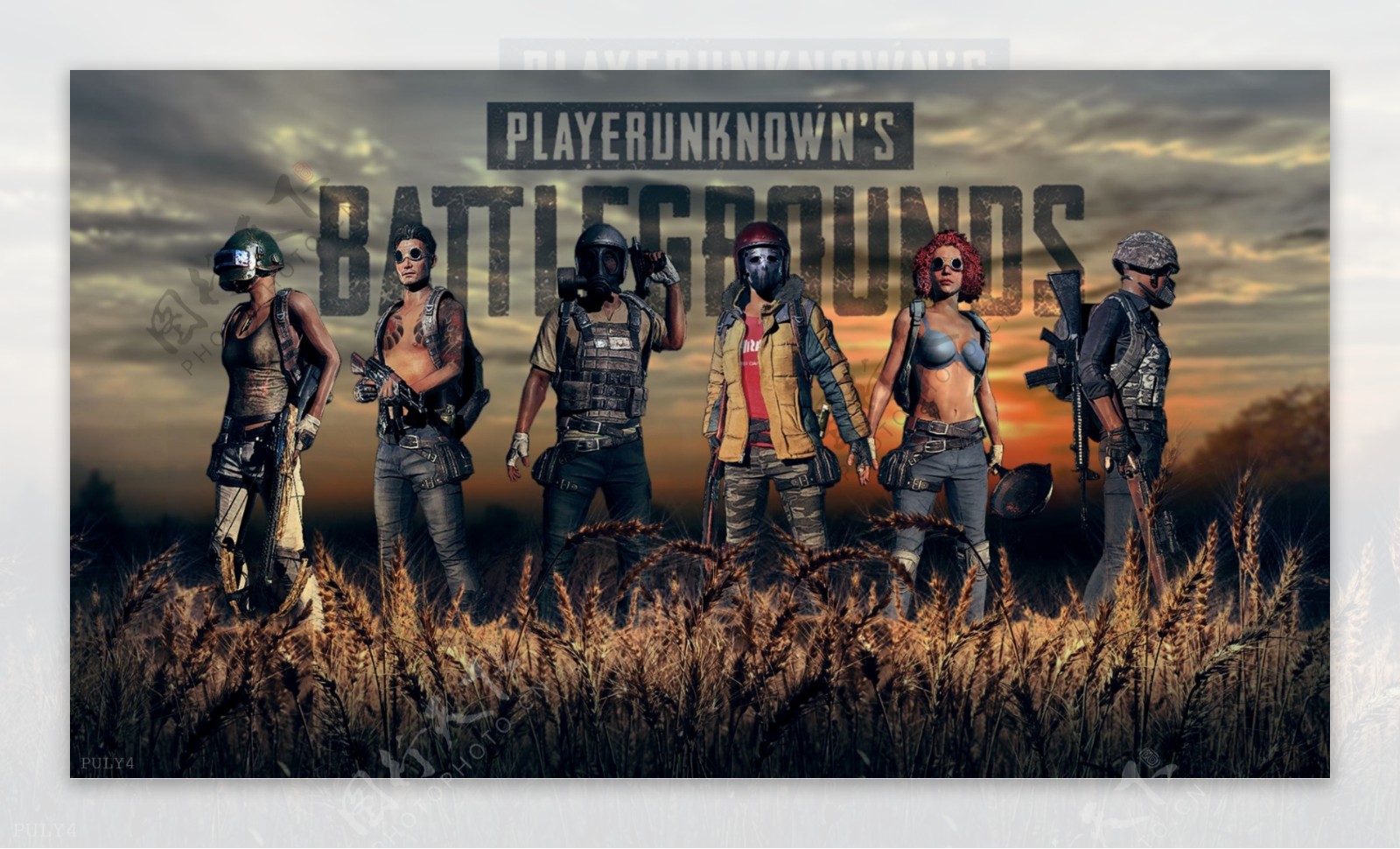 家队的队友 家队的队友