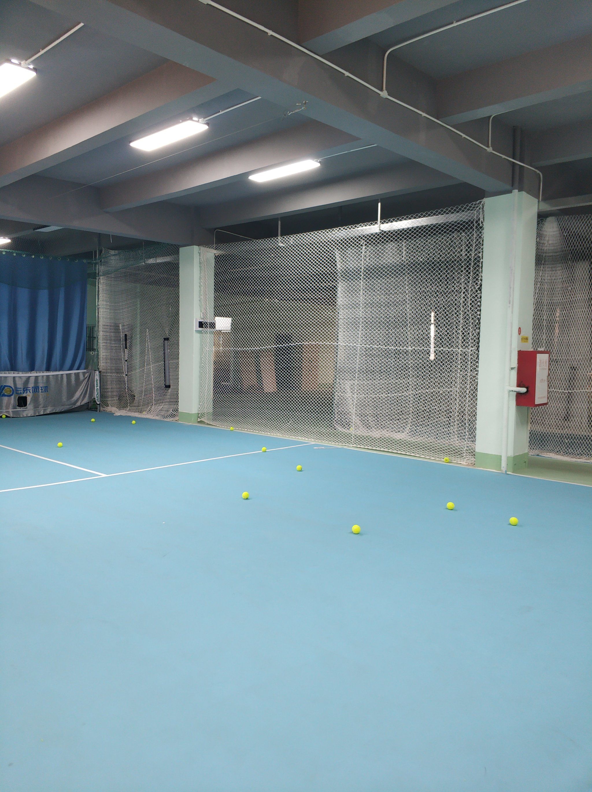 动的理解 动的理解