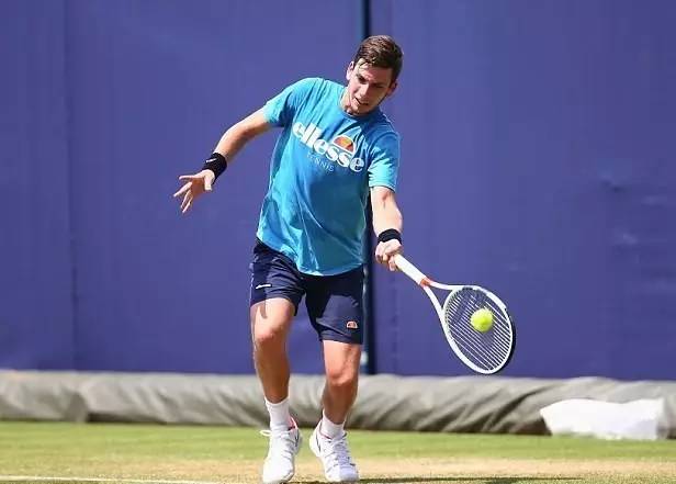 不仅分析了 不仅分析了