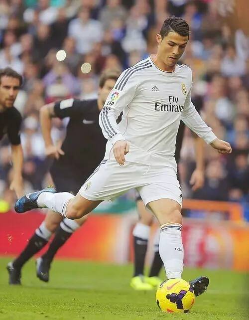 献赢得了大 献赢得了大